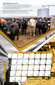Moore Farms 2023 calendar design January spread