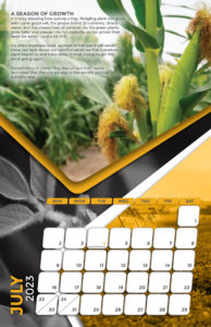 Moore Farms 2023 calendar design July spread